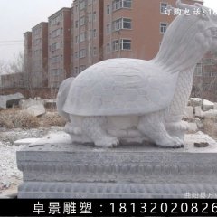 龍龜石雕，漢白玉龍龜?shù)袼? width=