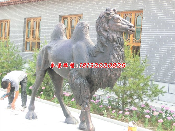 銅雕駱駝,公園動(dòng)物銅雕 (1)