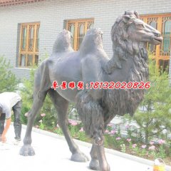 銅雕駱駝，公園動物銅雕