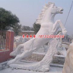 石雕馬，漢白玉馬雕塑，馬踏祥云石雕