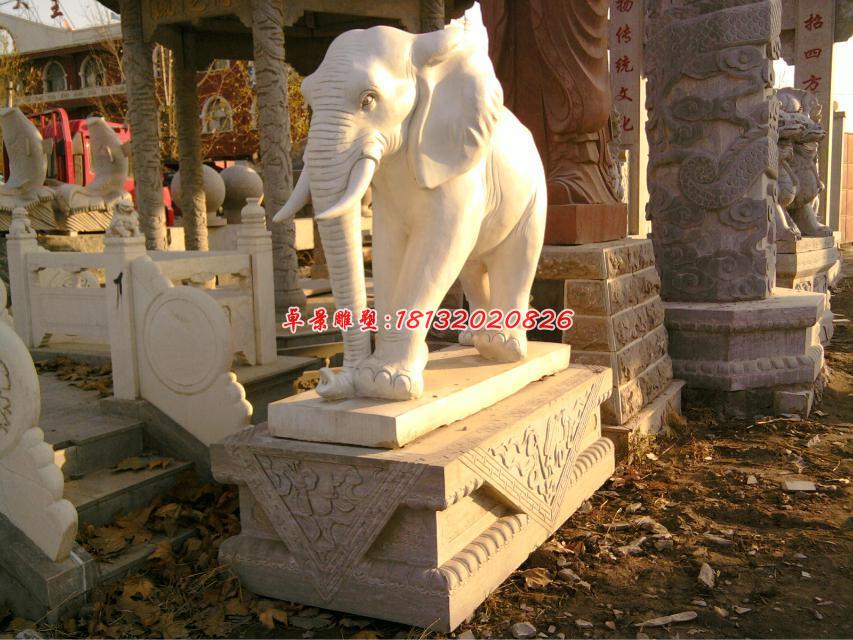 大象石雕，漢白玉動物石雕 (1)