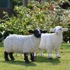 玻璃鋼仿真綿羊，玻璃鋼仿真綿羊雕塑