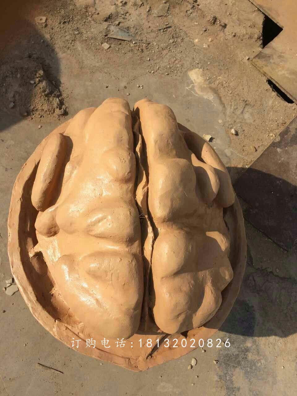 核桃雕塑，仿真玻璃鋼雕塑 (2)