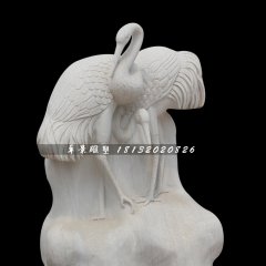 丹頂鶴石雕，公園漢白玉丹頂鶴雕塑