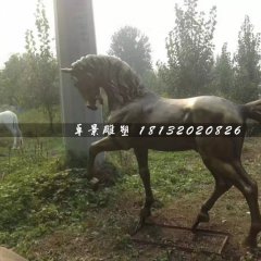 馬銅雕，公園動物銅雕