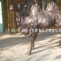 公園駱駝銅雕，動物銅雕