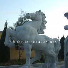 石雕馬，廣場(chǎng)動(dòng)物石雕